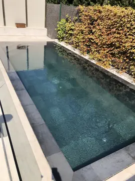 Piscina junto al seto. Vaso con revestimiento gris oscuro y borde a ras del agua, playa en tono crema y seto a un lado.