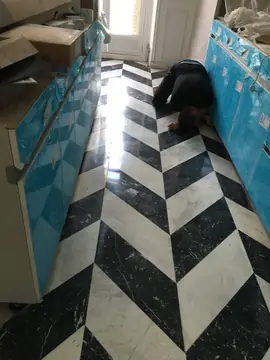 Pavimento en espiga blanco y negro. Paso con piezas pulidas blancas y negras con veta colocadas en espiga, entre muebles bajos protegidos con film azul.